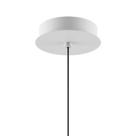 Rosone Single Standard