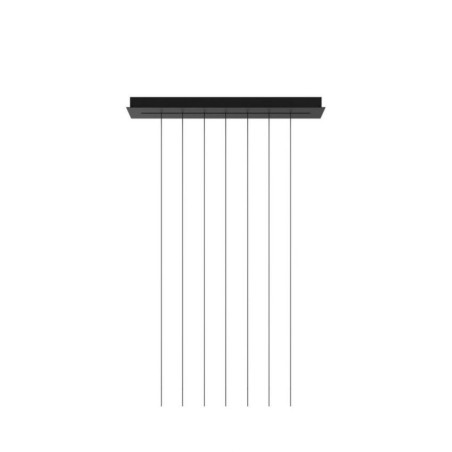 Rosone Short Lights Track