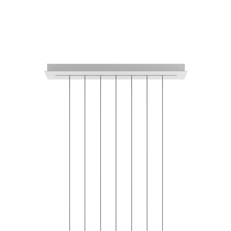 Rosone Short Lights Track