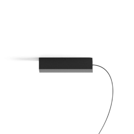 Rosone Across PUSH-DALI