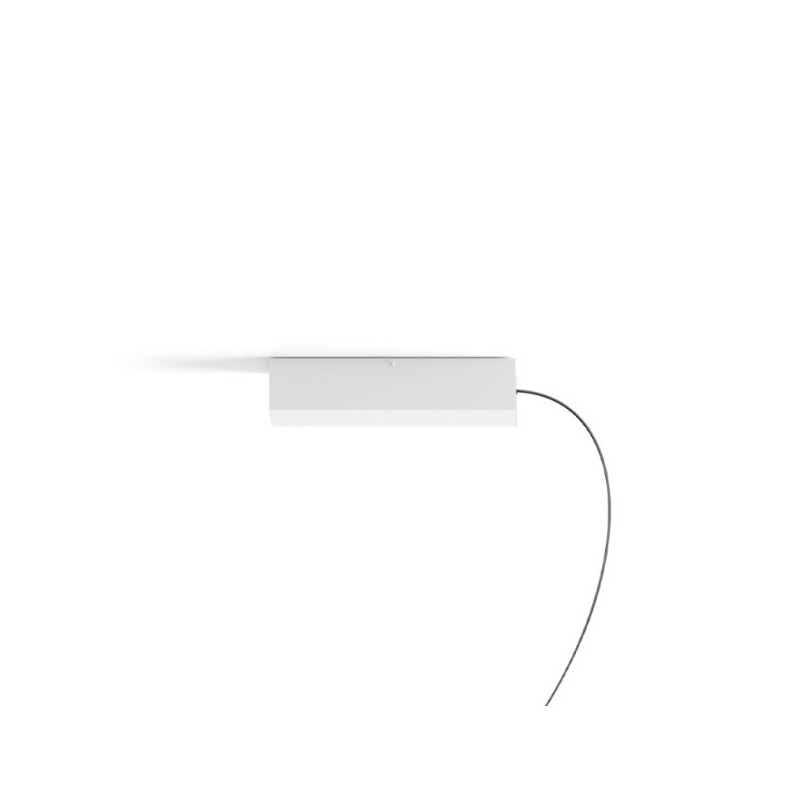 Rosone Across PUSH-DALI