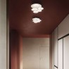 Bulbullia D95A5 Parete/Soffitto