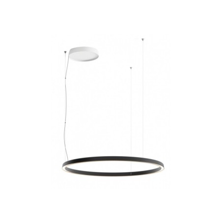 Compendium Circle D81C11 Sospensione