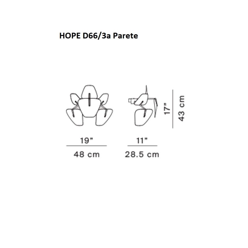 Hope D66/3a Parete