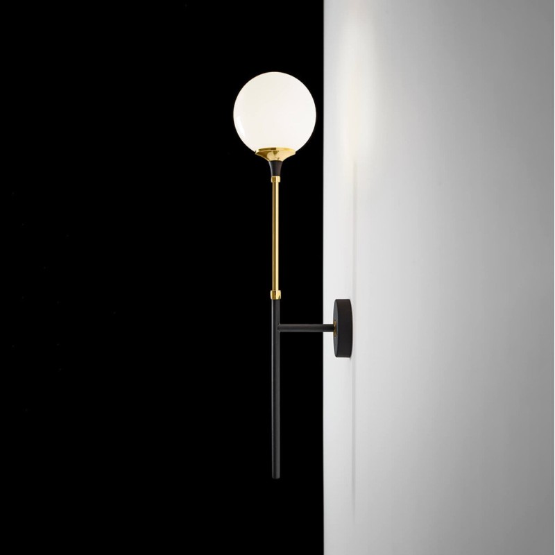 Galassia Singola Parete