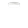 Halo PL D35 Soffitto - Ideal-Lux