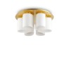 Daisy PL6 Soffitto - Ideal-Lux