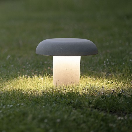 Amanita Terra - Martinelli Luce