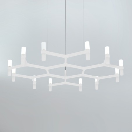 Crown Plana Minor Sospensione - Nemo