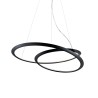 Kepler Uplight Sospensione - Nemo
