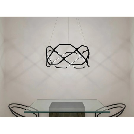 Titia Minor Sospensione - Nemo