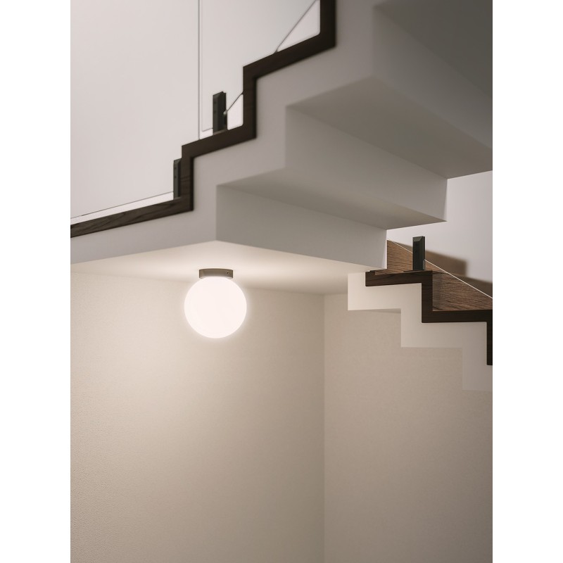 Asteroide Parete/Soffitto - Nemo