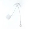 Sparrow Lamp Taking Off 15315 Parete - Seletti