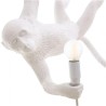 Monkey Lamp Swing White 14875 Sospensione - Seletti