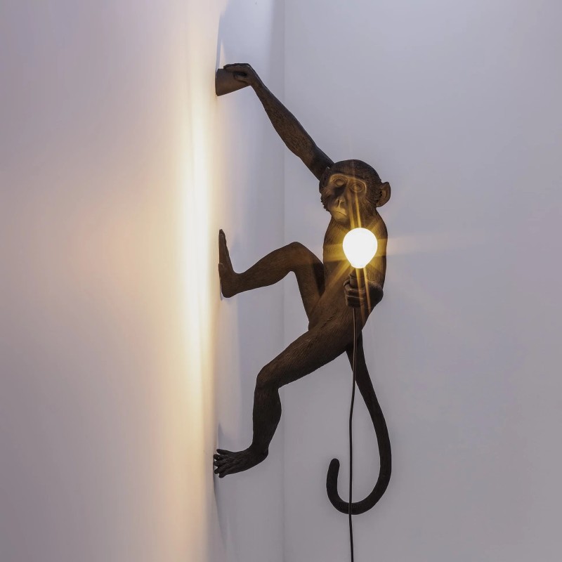 Monkey Lamp Outdoor Hanging Right Hand Black 14919 Parete - Seletti