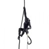 Monkey Lamp Outdoor Ceiling Black 14923 Sospensione - Seletti