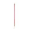 Linea LED Rosso 07749_RED Sospensione/Terra - Seletti