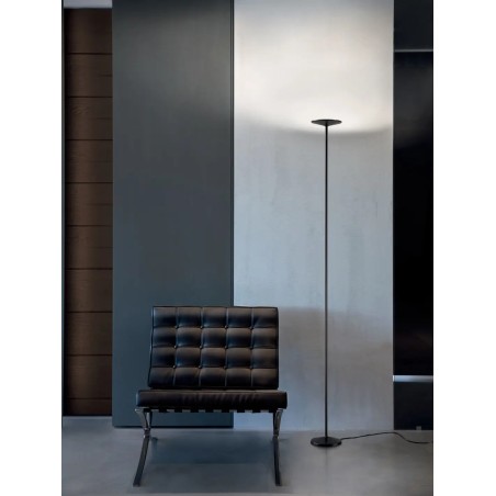 Poe_FL Terra - Linea Light