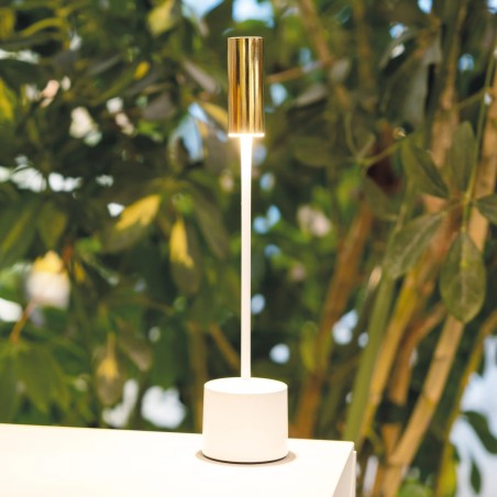 Carolina Pro Tavolo - Zafferano