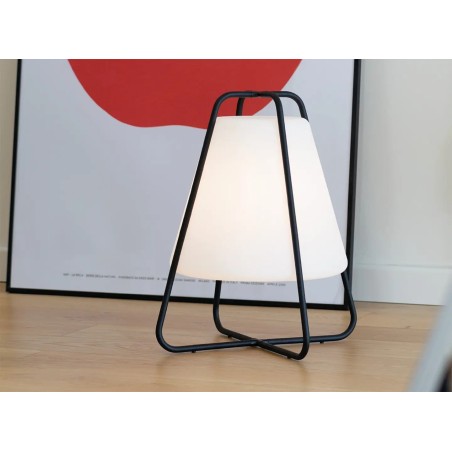 Teepee Pro Terra - Zafferano