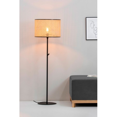 Mambo Terra - Faro Barcelona