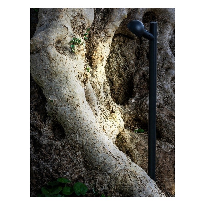 Brot 600 Picchetto - Faro Barcelona