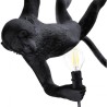 Monkey Lamp Outdoor Swing Black 14916 Sospensione - Seletti