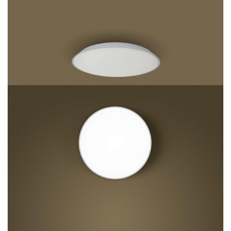 Febe Parete/Soffitto